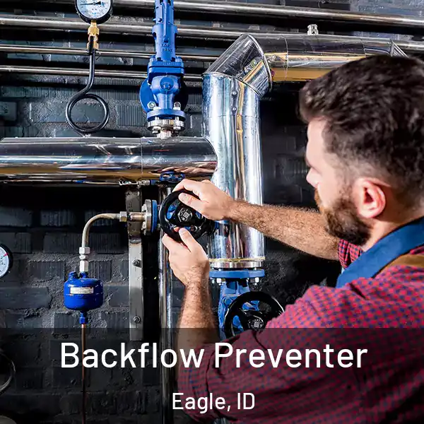  Backflow Preventer Eagle, ID