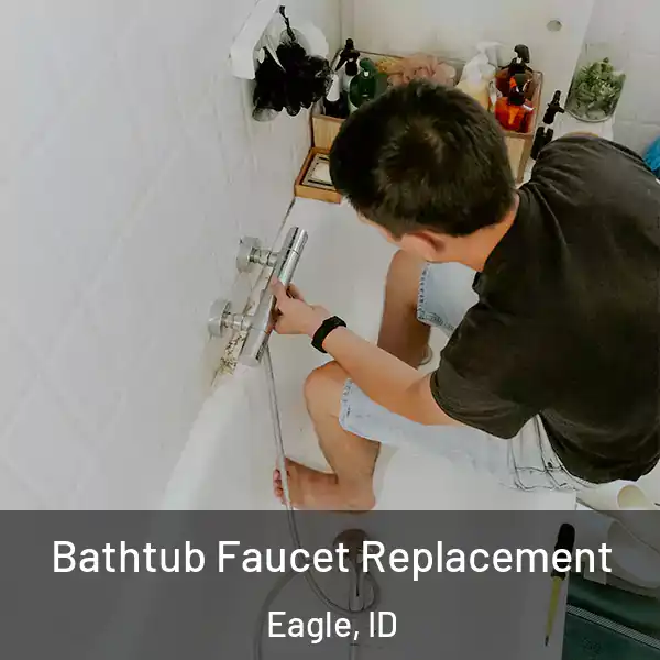  Bathtub Faucet Replacement Eagle, ID