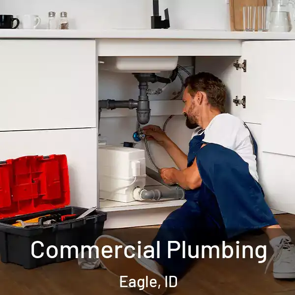  Commercial Plumbing Eagle, ID