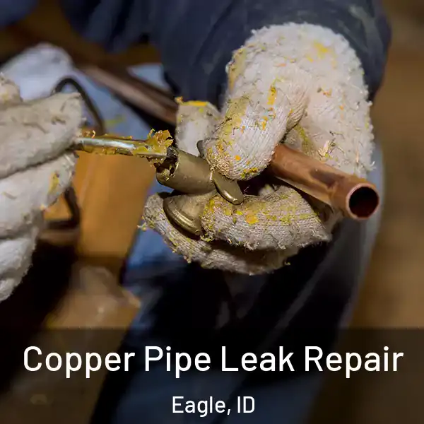  Copper Pipe Leak Repair Eagle, ID