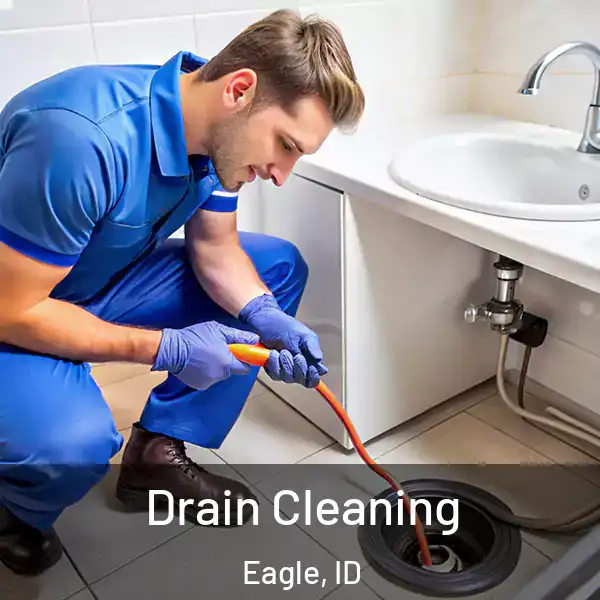  Drain Cleaning Eagle, ID