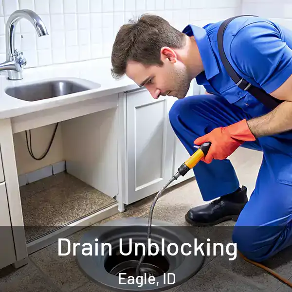  Drain Unblocking Eagle, ID