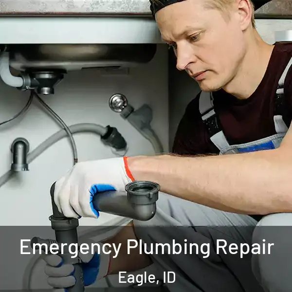  Emergency Plumbing Repair Eagle, ID