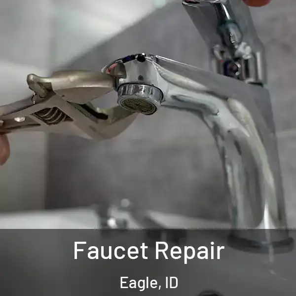  Faucet Repair Eagle, ID