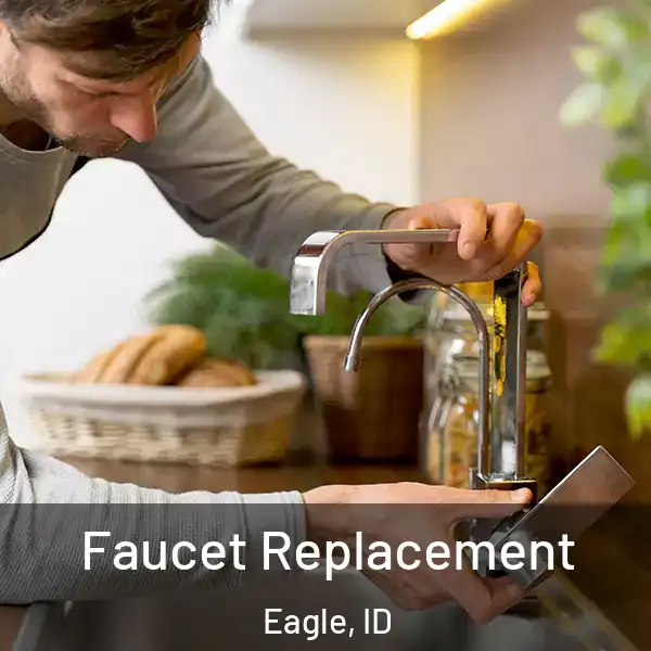 Faucet Replacement Eagle, ID