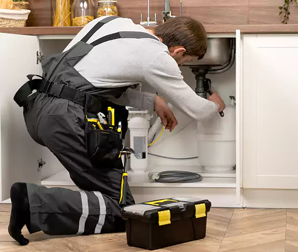 Certified Plumbers for Insinkerator Installation in Eagle