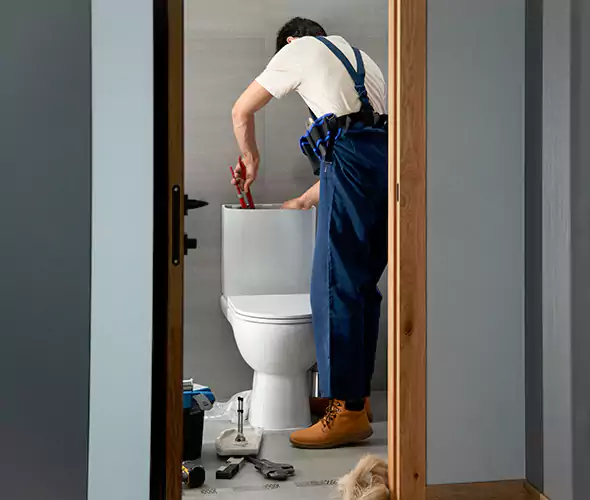 Professional Plumbers for Toilet Bowl Replacement in Eagle, ID: Schedule Affordable Toilet Replacement Services With Us