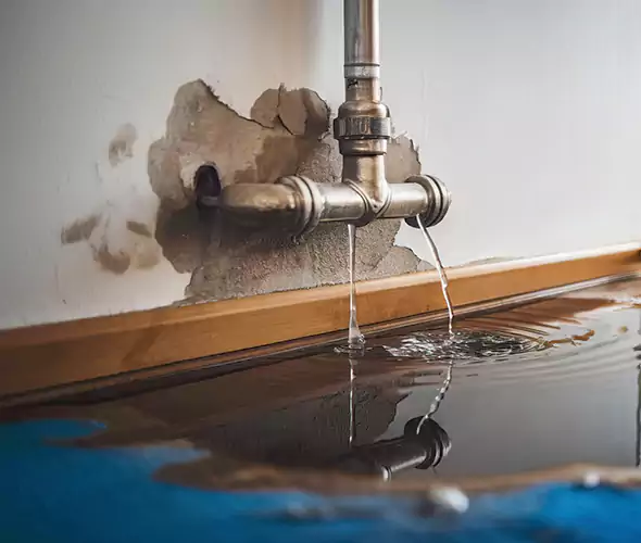 Professional Water Damage Restoration Experts in Eagle, ID — Fast, Reliable & Certified