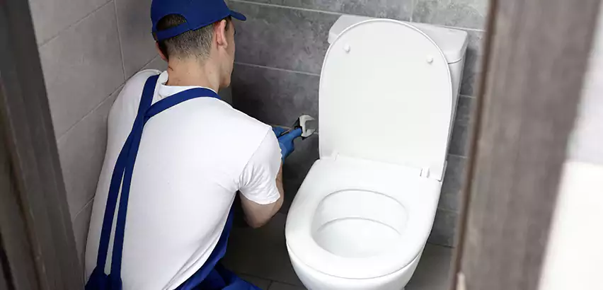 Toilet Lid Replacement in Eagle