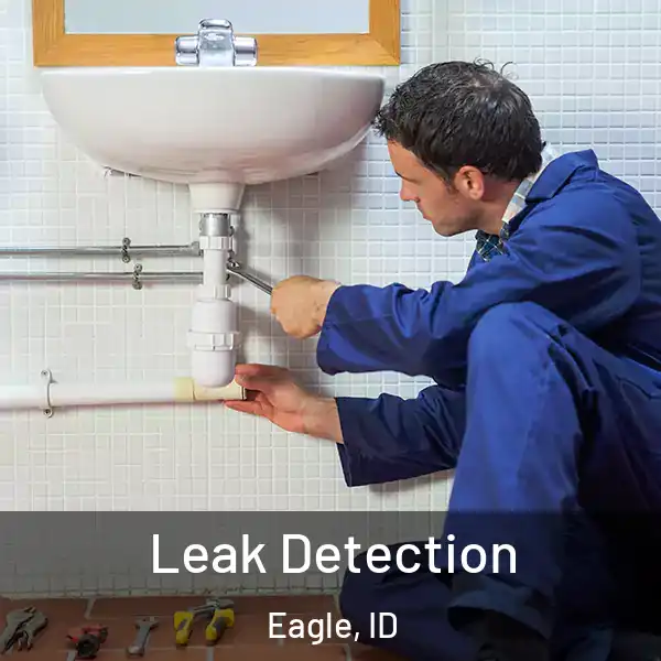  Leak Detection Eagle, ID