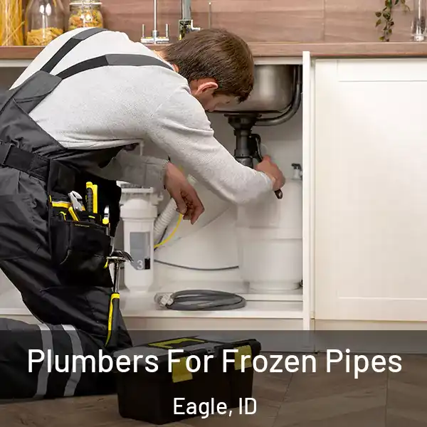  Plumbers For Frozen Pipes Eagle, ID