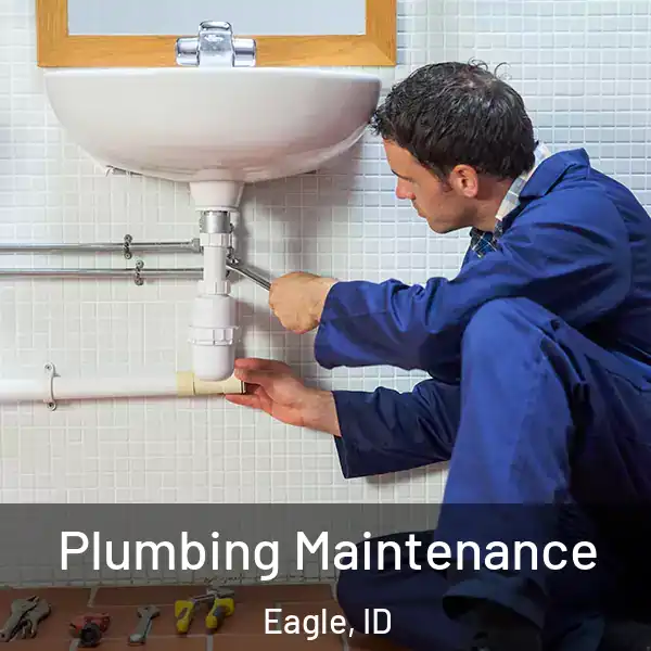  Plumbing Maintenance Eagle, ID