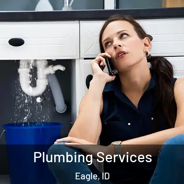  Plumbing Services Eagle, ID