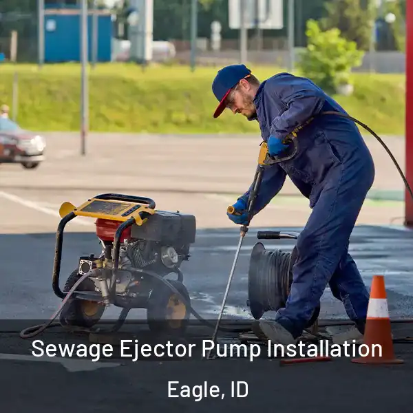  Sewage Ejector Pump Installation Eagle, ID