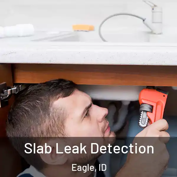  Slab Leak Detection Eagle, ID