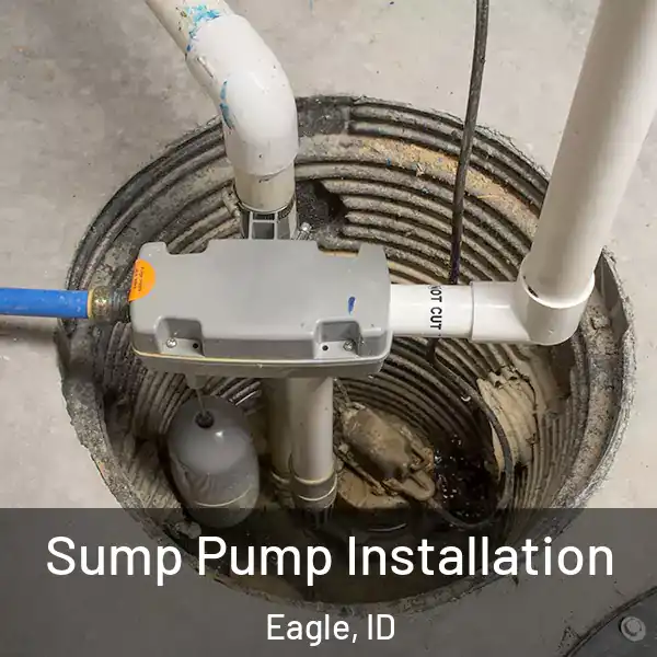  Sump Pump Installation Eagle, ID