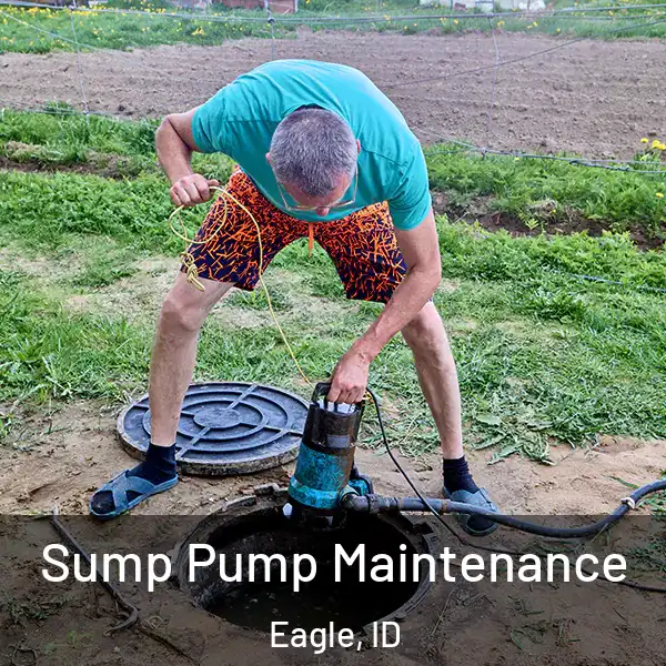  Sump Pump Maintenance Eagle, ID