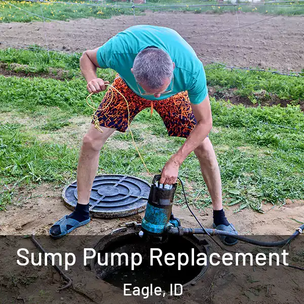  Sump Pump Replacement Eagle, ID