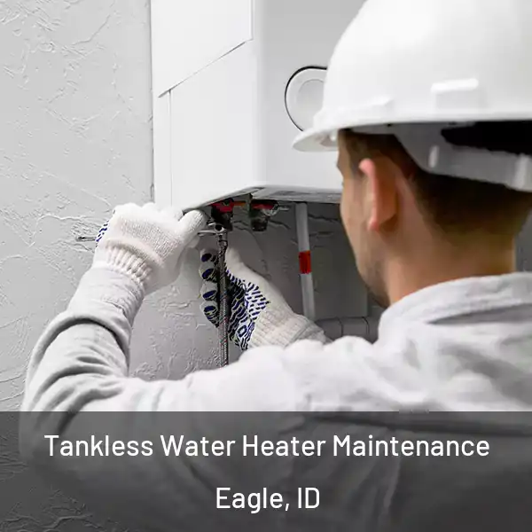  Tankless Water Heater Maintenance Eagle, ID