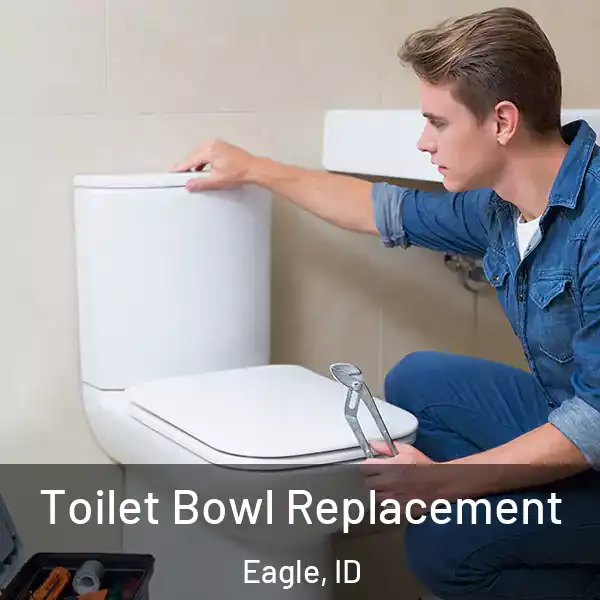  Toilet Bowl Replacement Eagle, ID