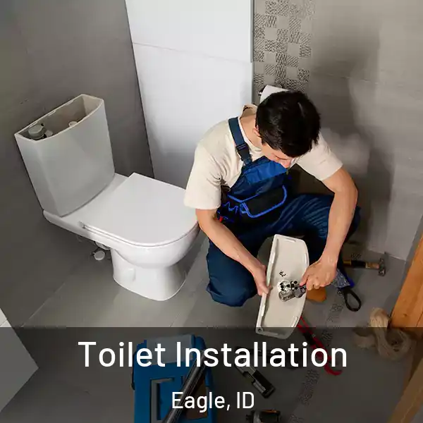  Toilet Installation Eagle, ID