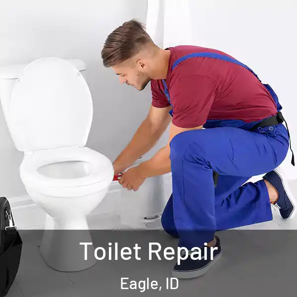  Toilet Repair Eagle, ID