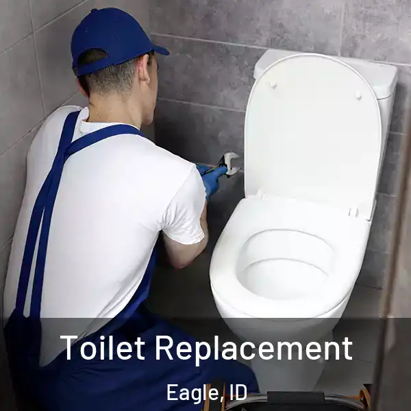  Toilet Replacement Eagle, ID