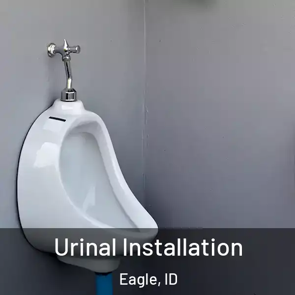  Urinal Installation Eagle, ID
