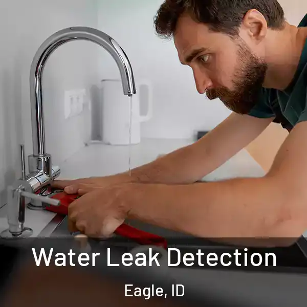  Water Leak Detection Eagle, ID