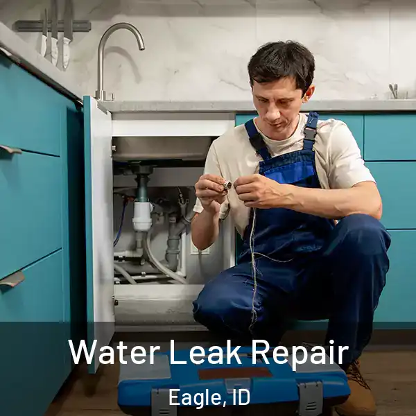  Water Leak Repair Eagle, ID