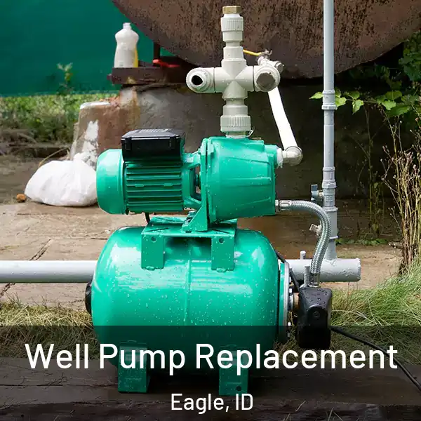  Well Pump Replacement Eagle, ID